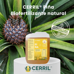 Biofertilizante natural para piña Cerril