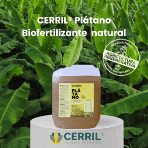 Biofertilizante natural para plátano Cerril