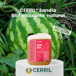 Biofertilizante natural para sandía Cerril
