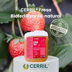 Biofertilizante natural para fresa Cerril