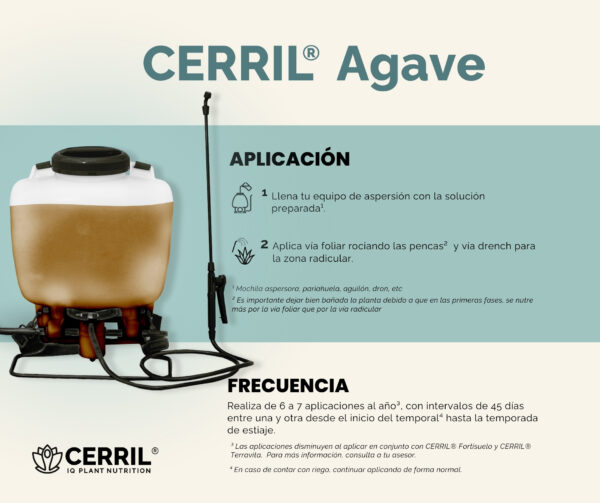 Combo Arranque Cerril ® Agave - Imagen 4