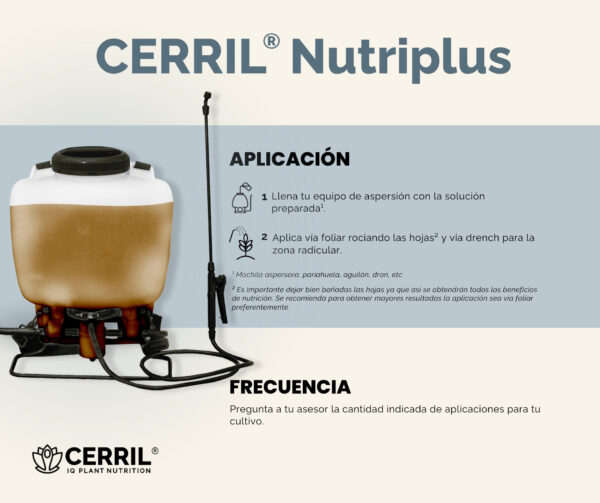 Cerril ® Nutriplus - Imagen 4