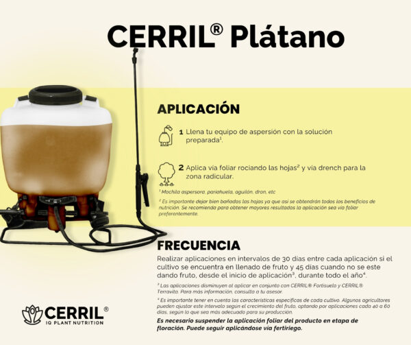 Cerril ® Plátano - Imagen 2