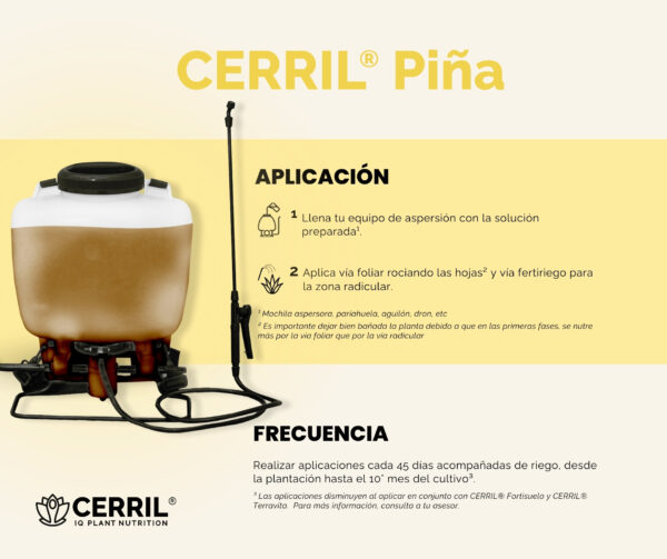 Cerril ® Piña - Imagen 4