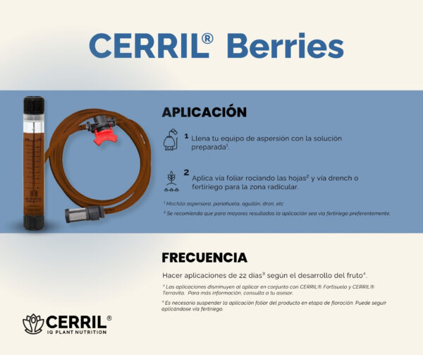 Cerril ® Berries - Imagen 3