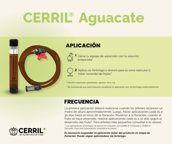 Combo Arranque Cerril ® Aguacate - Imagen 4