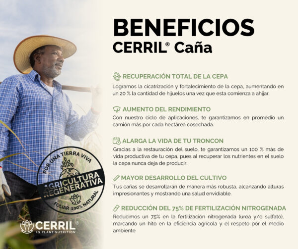 Cerril ® Caña - Imagen 2