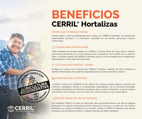 Cerril ® Hortalizas - Imagen 2