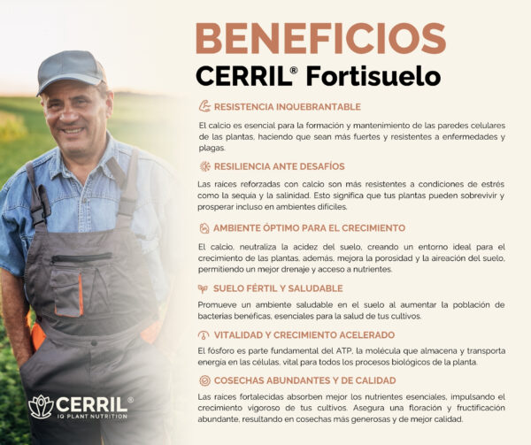 Cerril ® Fortisuelo - Imagen 3