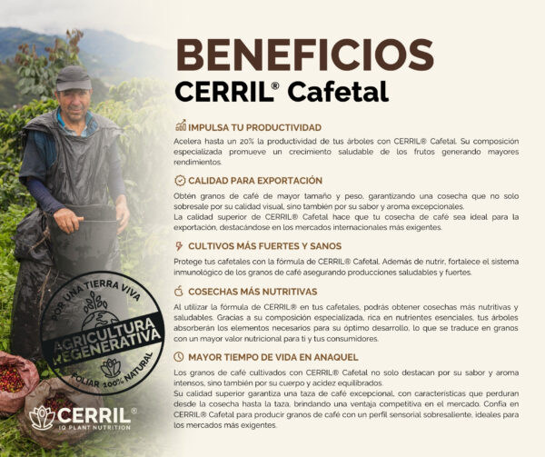 Cerril ® Cafetal - Imagen 3