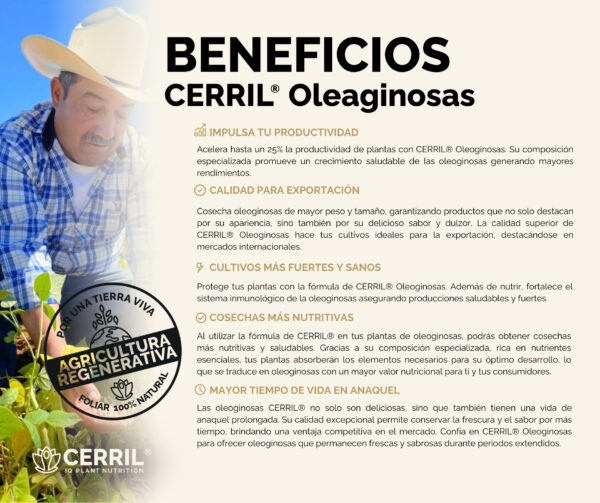 Cerril ® Oleaginosas - Imagen 4