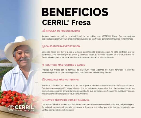 Combo Arranque Cerril ® Fresa - Imagen 4