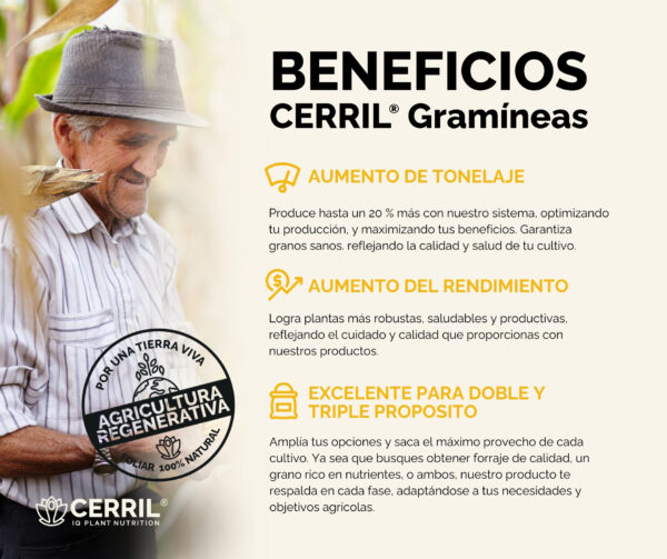 Cerril ® Gramíneas - Imagen 4