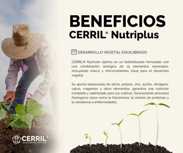 Cerril ® Nutriplus - Imagen 3