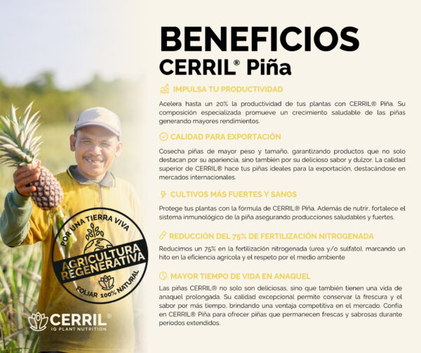 Cerril ® Piña - Imagen 3