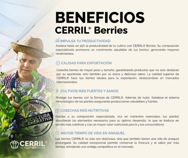 Cerril ® Berries - Imagen 4