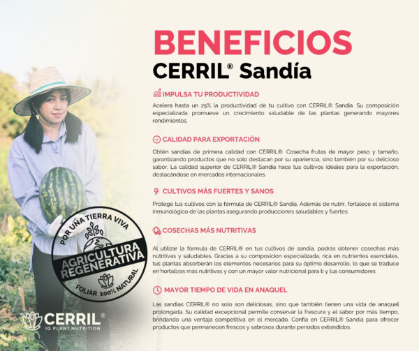 Cerril ® Sandía - Imagen 3