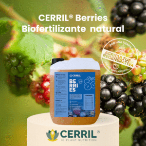 CERRIL Berries