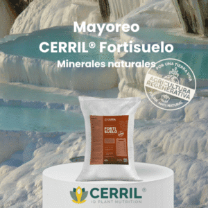 Mayoreo Cerril Fortisuelo