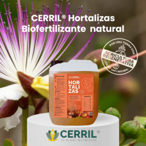 CERRIL Hortalizas