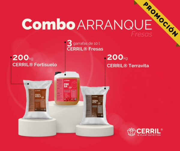 Combo Arranque Cerril ® Fresa