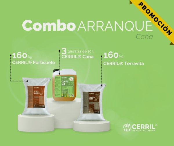 Combo Arranque Cerril ® Caña