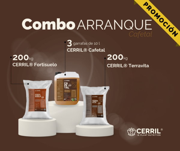 Combo Arranque Cerril ® Cafetal