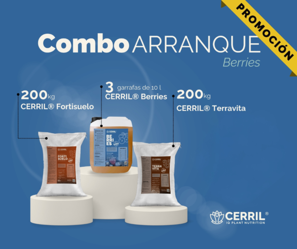 Combo Arranque Cerril ® Berries