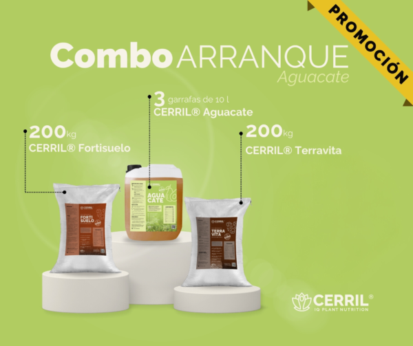 Combo Arranque Cerril ® Aguacate