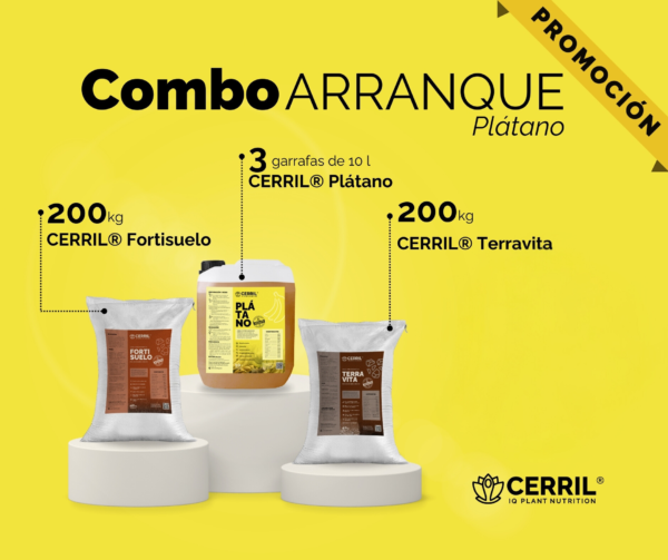 Combo Arranque Cerril ® Plátano