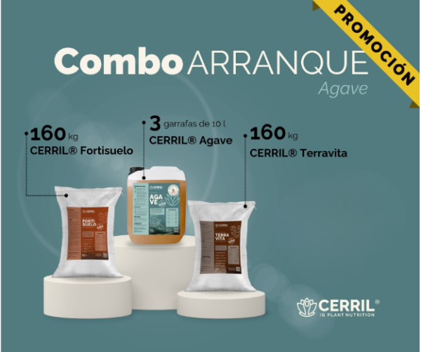 Combo Arranque Cerril ® Agave