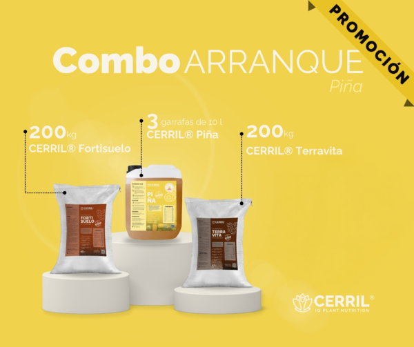 Combo Arranque Cerril ® Piña