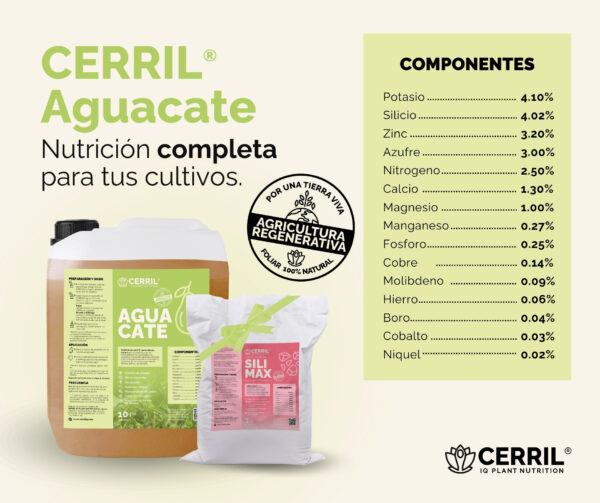 Combo Arranque Cerril ® Aguacate - Imagen 2