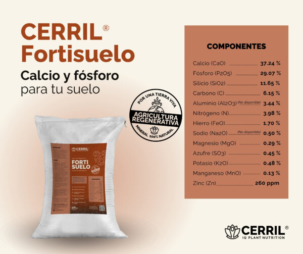 Cerril ® Fortisuelo - Imagen 4