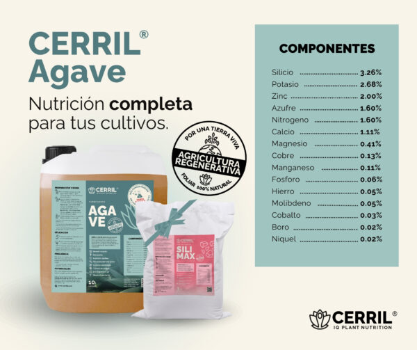 Combo Arranque Cerril ® Agave - Imagen 2