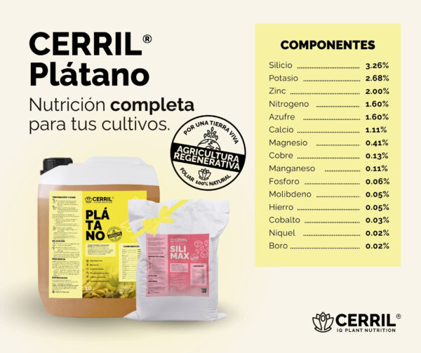 Cerril ® Plátano - Imagen 4