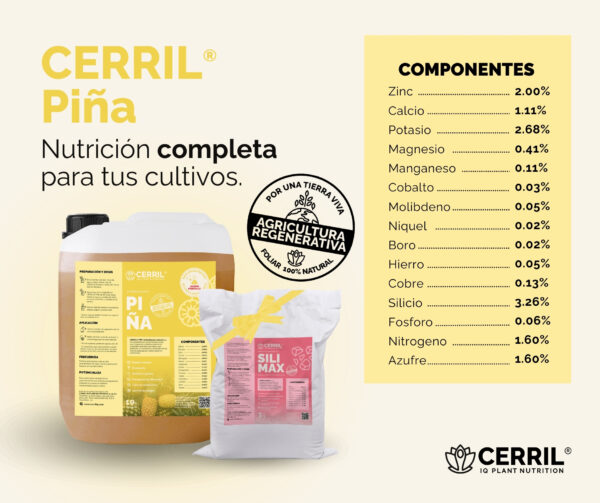 Cerril ® Piña - Imagen 2