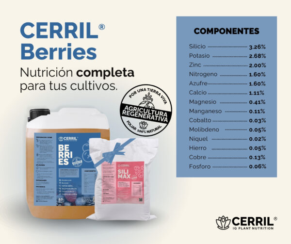 Cerril ® Berries - Imagen 2