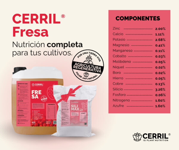 Cerril ® Fresa - Imagen 3