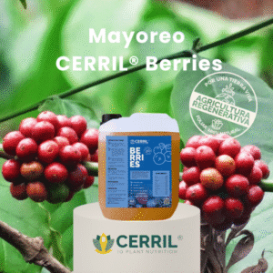 Mayoreo Carril Berries
