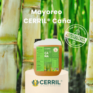 Mayoreo Cerril Caña