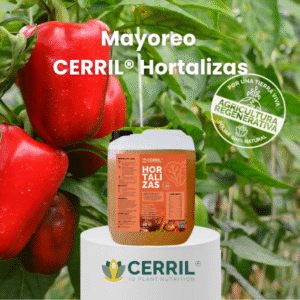 Mayoreo Cerril Hortalizas
