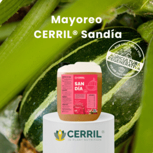 Mayoreo Cerril Sandia