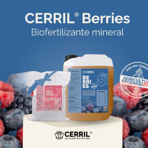 Cerril Berries Biofertilizante Orgánico