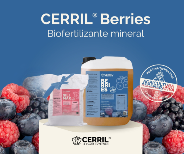 Cerril Berries Biofertilizante Orgánico