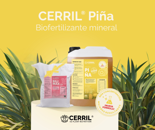 Cerril Piña, Biofertilizante Orgánico