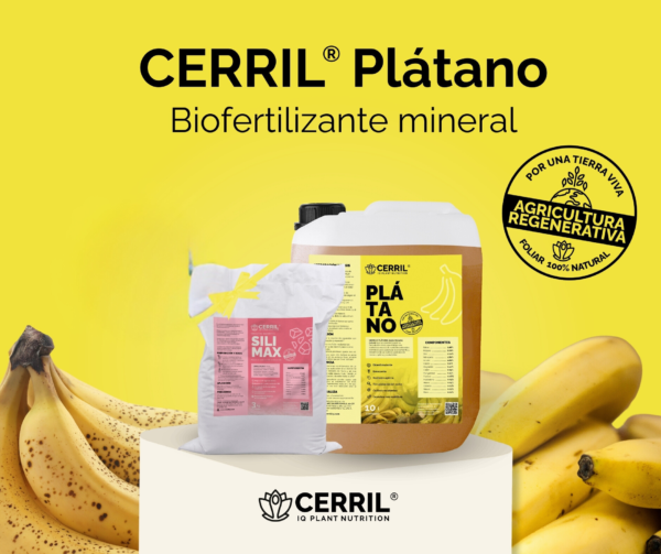 Cerril Plátano Biofertilizante Orgánico