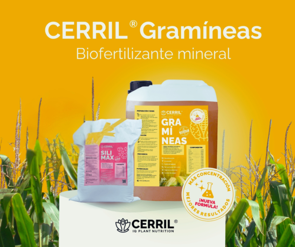 Cerril ® Gramíneas