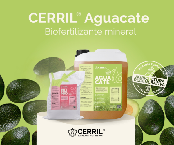 Cerril ® Aguacate