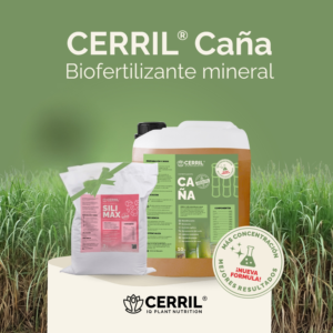 Cerril Biofertilizante Caña